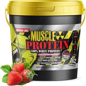 COLOSSAL LABS Whey Protein Powder [15 lbs/Pack of 1]–Strawberry Protein, Cold Filtered, 25g Pure Protein, 6.6g BCAAs/Serving(Packaging May Vary)  Health & Household